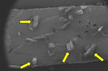 A análise microestrutural dos compósitos de sisal feita por microscopia eletrônica de varredura (MEV), para mensurar os mecanismos de falha dos compósitos granulados e não granulados, é mostrada na