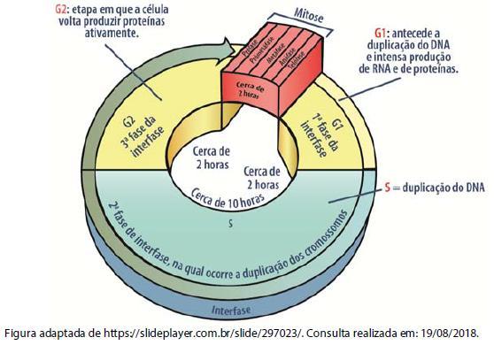 Representação da