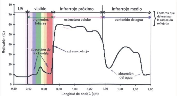 Assinatura espetral