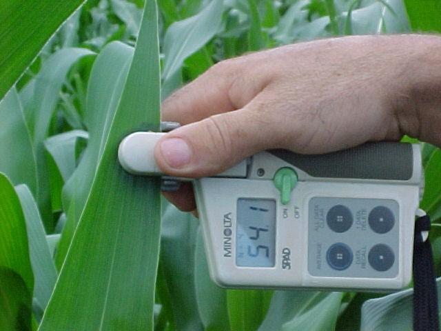 Interação da vegetação com a radiação eletromagnética 1- Sensores de clorofila - Quase todo o azoto foliar está contido nas moléculas de clorofila, pelo que existe uma alta correlação entre o azoto