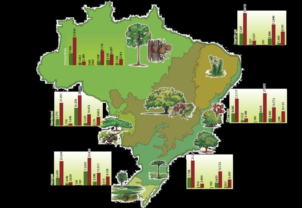 Atlantic Forest Resultados: