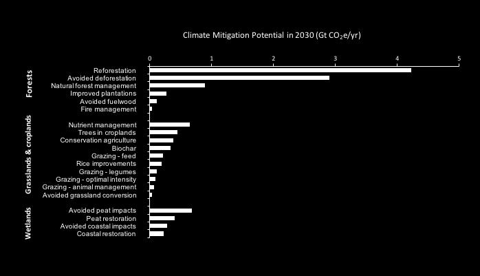 economy Global policy: Bonn Challenge, New