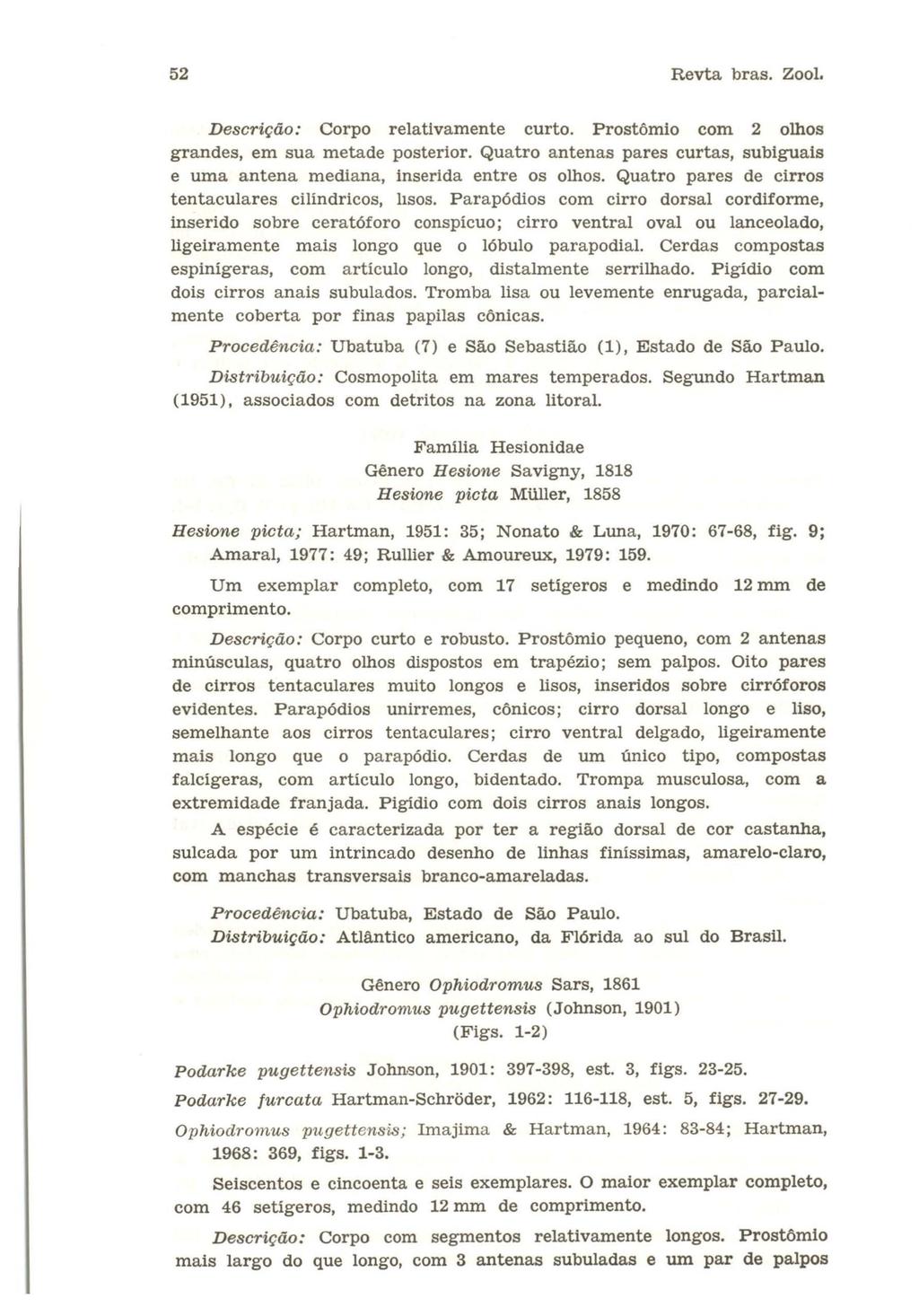 52 Revta bras. Zool. Descrição: Corpo relativamente curto. Prostômio com 2 olhos grandes, em sua metade posterior. Quatro antenas pares curtas, subiguais e uma antena mediana, inserida entre os olhos.