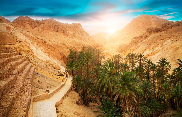 A Tunísia é um destino de férias muito apetecível. Fica localizada na África do Norte sendo que quase 40% da superfície do território é ocupado pelo deserto do Saara.