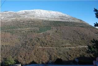 Project FOR CLIMADAPT : Adaptation of Mediterranean woodlands to climate Actividade França - Office National des Forêts (ONF) (Languedoc-Roussillon and Provence-Alpes-Cote d'azur Regions)