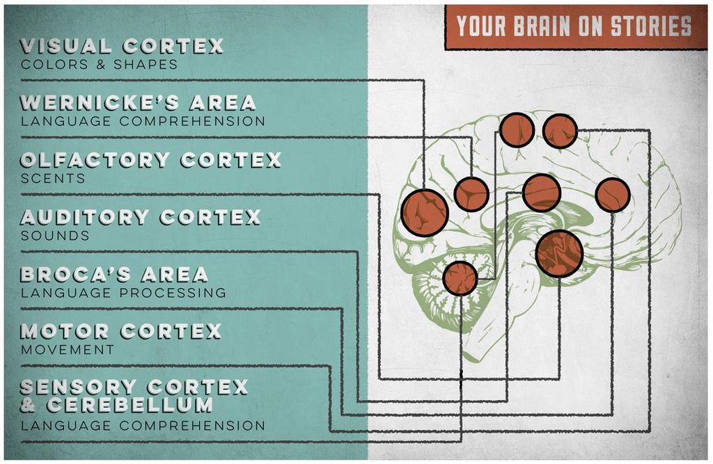 Quando contamos uma história, ativamos sete partes do cérebro Fonte: