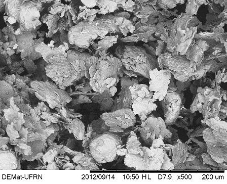 imagens no microscópio eletrônico de varredura.