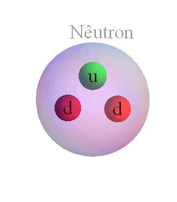 Existem tipos de quarks na natureza, mas só os dois mais leves, o quark up(u) e o quark down(d) formam prótons e nêutrons. A massa do quark d é maior do que a do quark u.