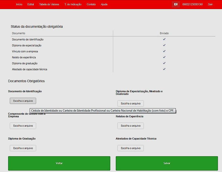 CADASTRO DO CONSULTOR A empresa deverá entrar acessar novamente o sistema e atualizar a documentação