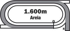 INÍCIO DO PICK 7 3º PÁREO (382) 15:15 Horas Recorde: 1m41s2 - FIRST AMOUR (21/10/2017) EXATA/DUPLA TRIFETA/QUADRIFETA EXATA R$ 1.000,00 TRIFETA R$ 1.500,00 Produtos de 3 anos e mais idade.