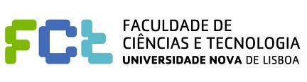 Perfil de Construção Orientador: Prof. Doutor Rui Noel Alves Vera-Cruz, FCT-UNL Júri: Presidente: Prof.
