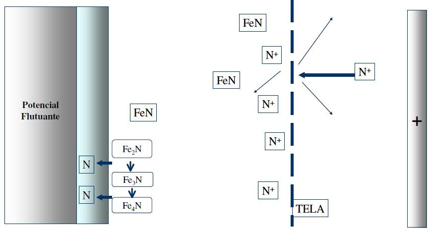 Revisão da Literatura 36 Segundo Sousa (2007) o mecanismo de nitretação e deposição em gaiola catódica está associado à deposição por sputtering dos átomos da parede dos furos da gaiola para a