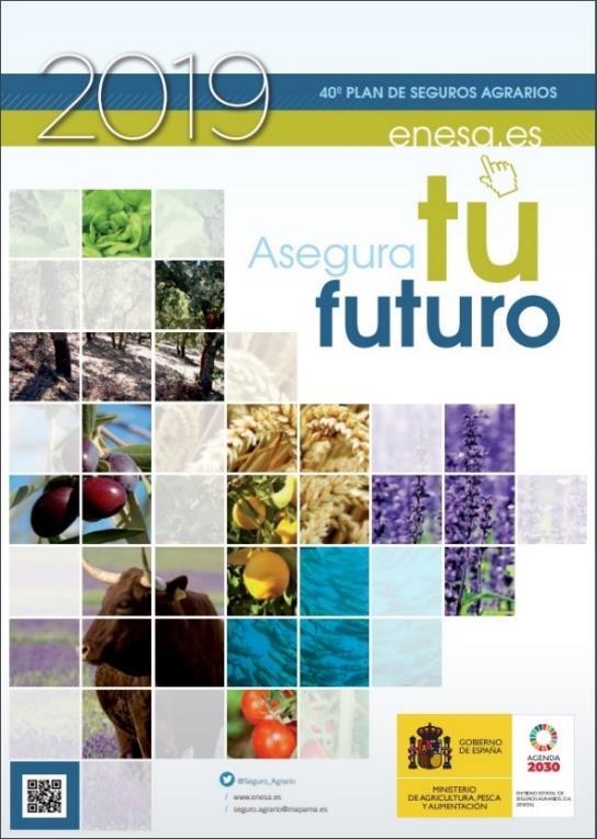 SETOR PÚBLCO Funções PRNCPAS da ENESA (ENTDAD ESTATAL DE SEGUROS AGRAROS) Elaboração do Plano Anual para aprovação pelo Governo Concessão de Subsídios para a contratação dos Seguros Colaborar e