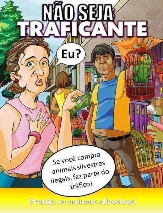 O TRÁFICO