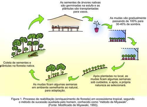 funções desempenhadas pela ação conjunta dos componentes do ecossistema decorrem os serviços ecossistêmicos, que promovem o equilíbrio e a manutenção da vida na Terra.