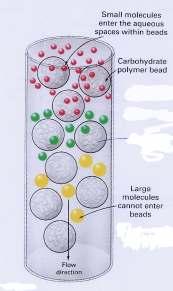 com detergentes b) Isolamento da proteína por cromatografia