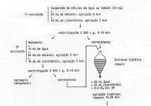 Métodos de extracção de lípidos 3 Folch et al. grande variedade de amostras, sobretudo tecidos animais J. Biol. Chem. (1957) 226, 497 (original) J. Lipid Res. (1964) 5, 318 (modificação) Reed et al.