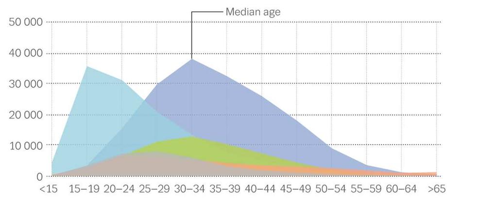 Consumidores de opiáceos: um população envelhecida Trends in age structure of