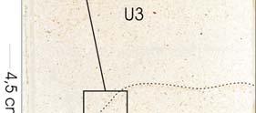 Figura 7A: Foto da fatia PM 4-1 com demarcação da lâmina analisada.