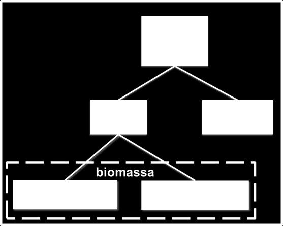 A matéria orgânica do solo consiste em microrganismos e organismos vivos, resíduos em decomposição e matéria orgânica residual ou húmus (Figura 6)