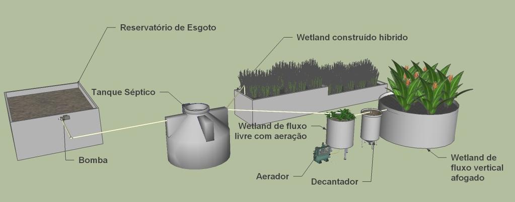oxidation) e Deammox (Denitrifying ammonium oxidation), recentemente algumas destas vias têm sido relatadas em sistemas de wetlands construídos (BERTINO, 2010; SAEED; SUN, 2012; DING et al., 2014).
