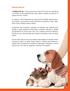 Affinity PetCare Affinity PetCare