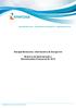 Energisa Borborema Distribuidora de Energia S/A. Relatório da Administração e Demonstrações Financeiras de 2016