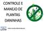 CONTROLE E MANEJO DE PLANTAS DANINHAS. Arthur Arrobas Martins Barroso