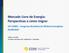 Mercado Livre de Energia: Perspectivas e como migrar 14º COBEE Congresso Brasileiro de Eficiência Energética 01/09/2017