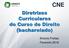 CNE Diretrizes Curriculares do Curso de Direito (bacharelado)