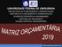 UNIVERSIDADE FEDERAL DE UBERLÂNDIA PRÓ-REITORIA DE PLANEJAMENTO E ADMINISTRAÇÃO DIRETORIA DE PLANEJAMENTO E ADMINISTRAÇÃO DIVISÃO DE ESTATÍSTICA E