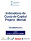 Indicadores de Custo de Capital Próprio Mensal