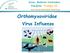 Orthomyxoviridae. Vírus Influenza. Curso: Medicina Veterinária Disciplina: Virologia III. Prof a. Rita de Cássia Nasser Cubel Garcia