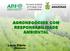 AGRONEGÓCIOS COM RESPONSABILIDADE AMBIENTAL. Lúcio Flávio Presidente