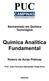 CAMPINAS PONTIFÍCIA UNIVERSIDADE CATÓLICA. Bacharelado em Química Tecnológica. Roteiro de Aulas Práticas. Prof. José Francisco Bernardes Veiga Silva