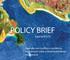 Policy Brief. Desenvolvimento, desigualdade e acesso à tecnologia de comunicação e informação nos países BRICS