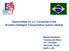 Opportunities for U.S. Companies in the Brazilian Intelligent Transportation Systems Market