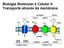 Biologia Molecular e Celular II: Transporte através da membrana