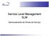 Service Level Management SLM. Gerenciamento de Níveis de Serviço