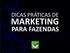 MARKETING PARA FAZENDAS