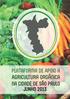 Volta no tempo: A história de criação da Plataforma de apoio a Agricultura Orgânica na cidade de São Paulo