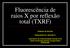 Fluorescência de raios X por reflexão total (TXRF)