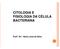 CITOLOGIA E FISIOLOGIA DA CÉLULA BACTERIANA. Prof a. Dr a. Vânia Lúcia da Silva