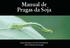 Manual de Pragas da Soja. Autores: Henrique José da Costa Moreira Flávio Damasceno Aragão