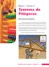 Teorema de Pitágoras. Módulo 1 Unidade 10. Para início de conversa... Matemática e Suas Tecnologias Matemática 1