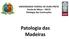 UNIVERSIDADE FEDERAL DE OURO PRETO Escola de Minas DECIV Patologia das Construções. Patologia das Madeiras