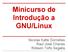 Minicurso de Introdução a GNU/Linux. Nicolas Katte Dornelles Raul José Chaves Róbson Tolfo Segalla