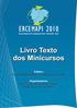 ERCEMAPI 2010. Escola Regional de Computação Ceará - Maranhão - Piauí. Livro Texto dos Minicursos. Editora Sociedade Brasileira de Computação - SBC