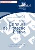 Estudos Transversais. Seminário Estrutura de Proteção Efetiva. Instituto de Economia da UFRJ Instituto de Economia da UNICAMP