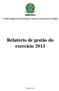 Conselho Regional de Fisioterapia e Terapia Ocupacional da 3ª Região. Relatório de gestão do exercício 2013